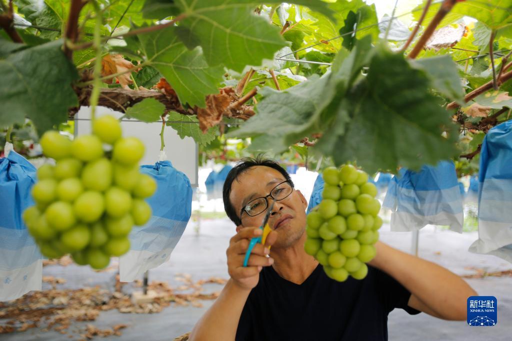波克捕鱼微信转区